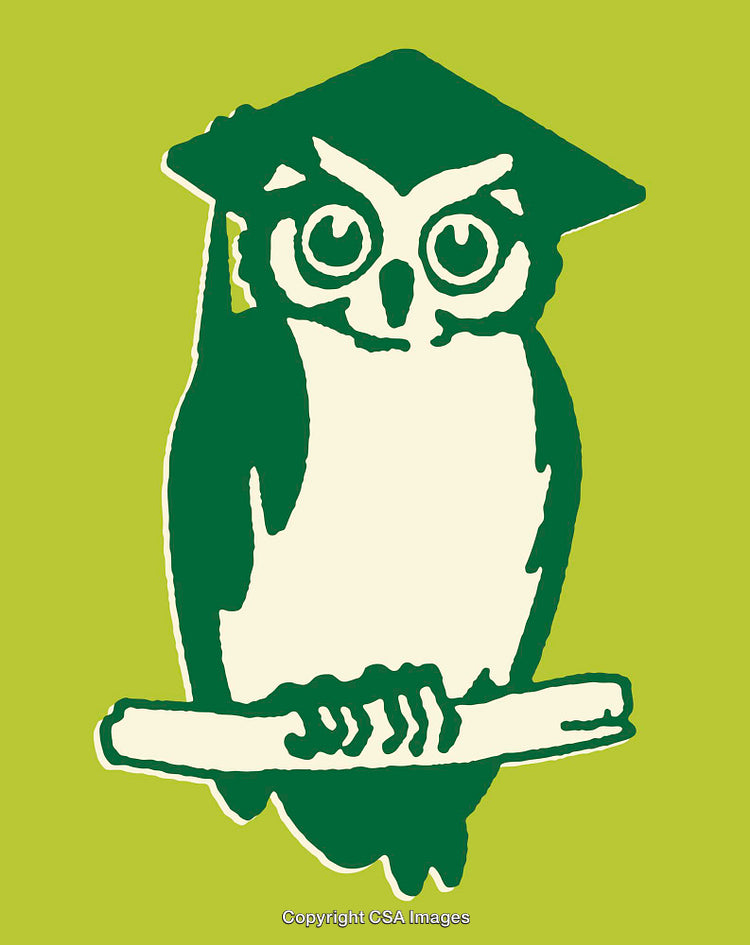Wise Owl Illustration with Graduation Cap and Diploma in Green Style