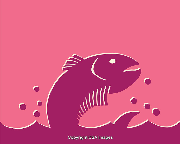 Vivid Line Art of a Fish in Abstract Pink Waters