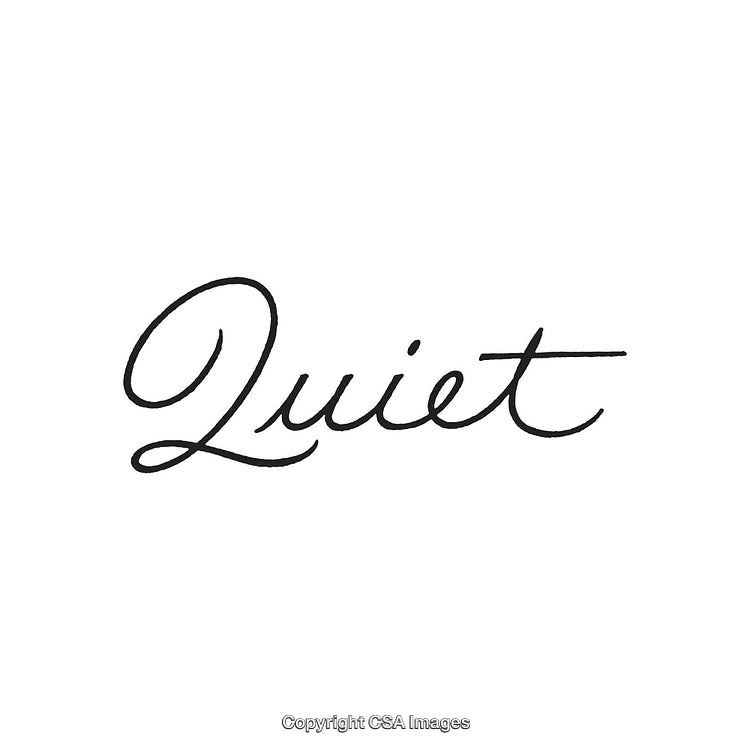 Elegant Cursive Typography Depicting the Word 'Quiet' in Black on White