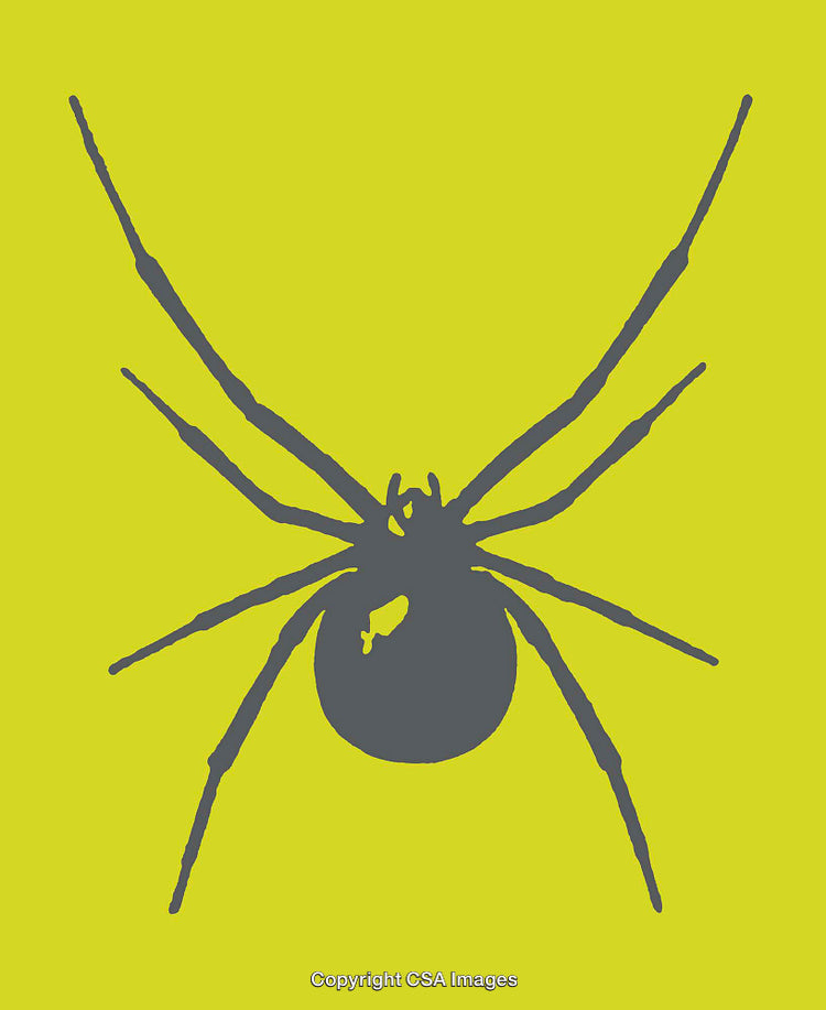 Silhouette of a Spider on a Bright Yellow Background