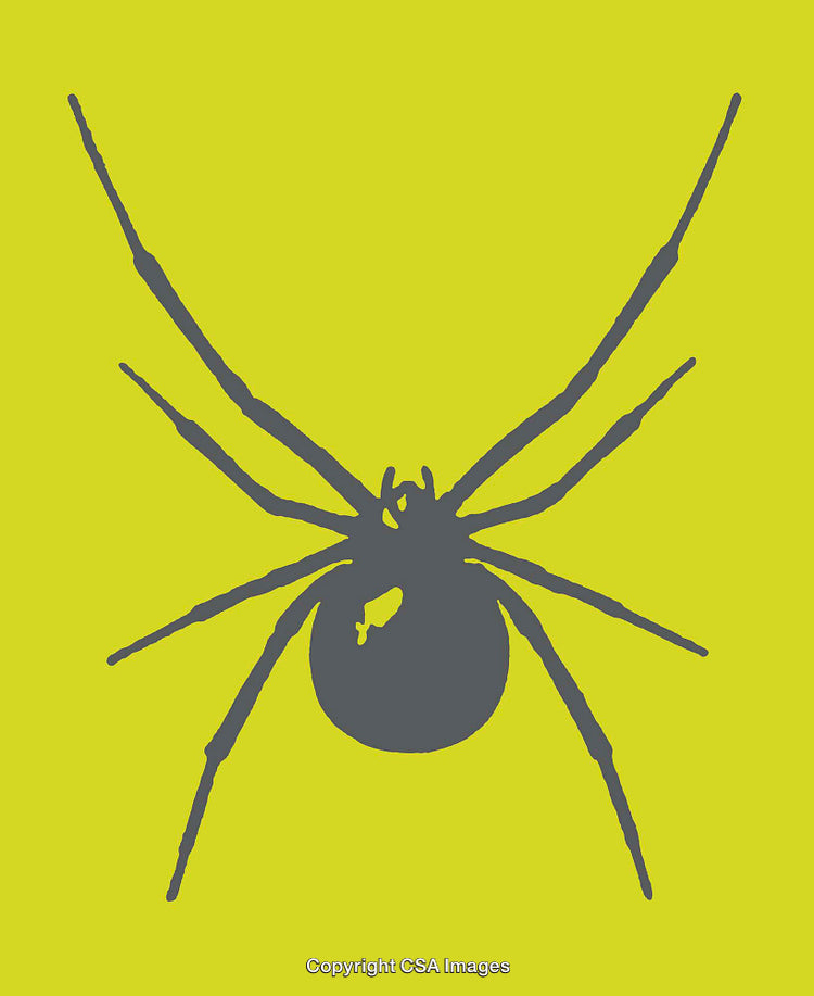 Silhouette of a Spider on a Bright Yellow Background