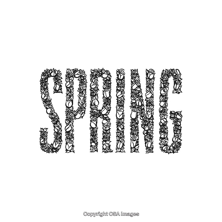 Decorative Typography Featuring Spring Text Enhanced with Floral Patterns