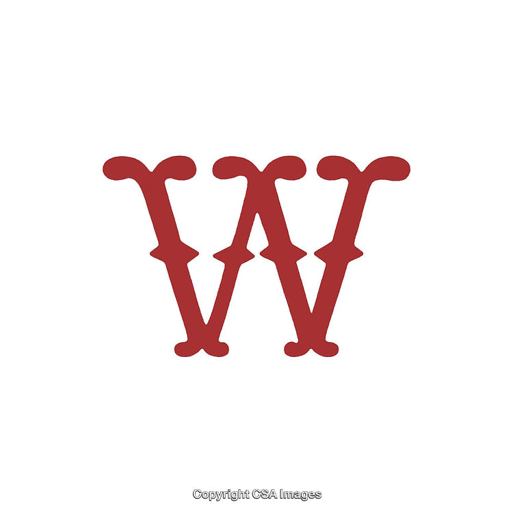 Typography Design Featuring Ornamental Letter W on White Background