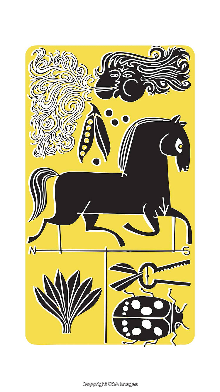 Illustrated Collage Featuring Horse, Insect, Botanics, and Abstract Faces