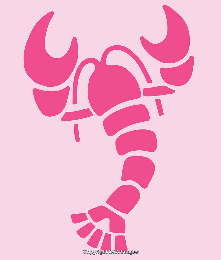 Pink Line Art Illustration of a Stylized Scorpion Design on Pastel Background