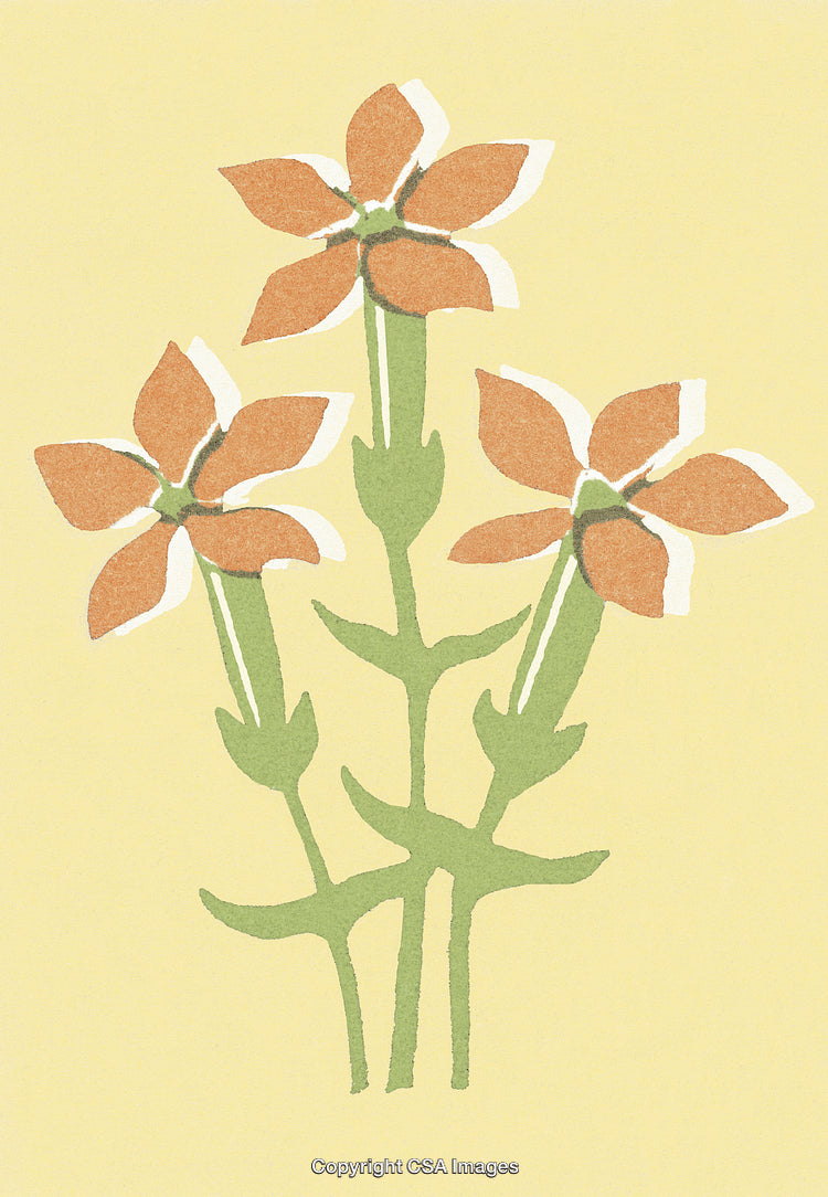 Three Flowers