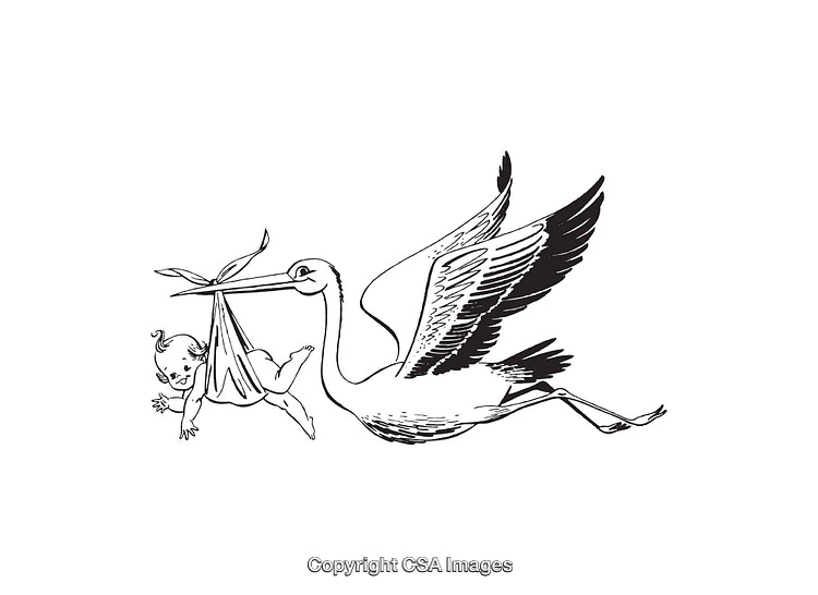 Black and White Line Art of Stork Carrying a Baby