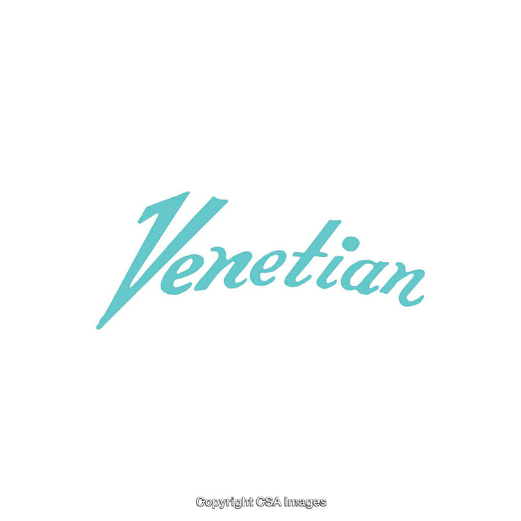 Elegant Blue Stylized Venetian Text on Clean White Background