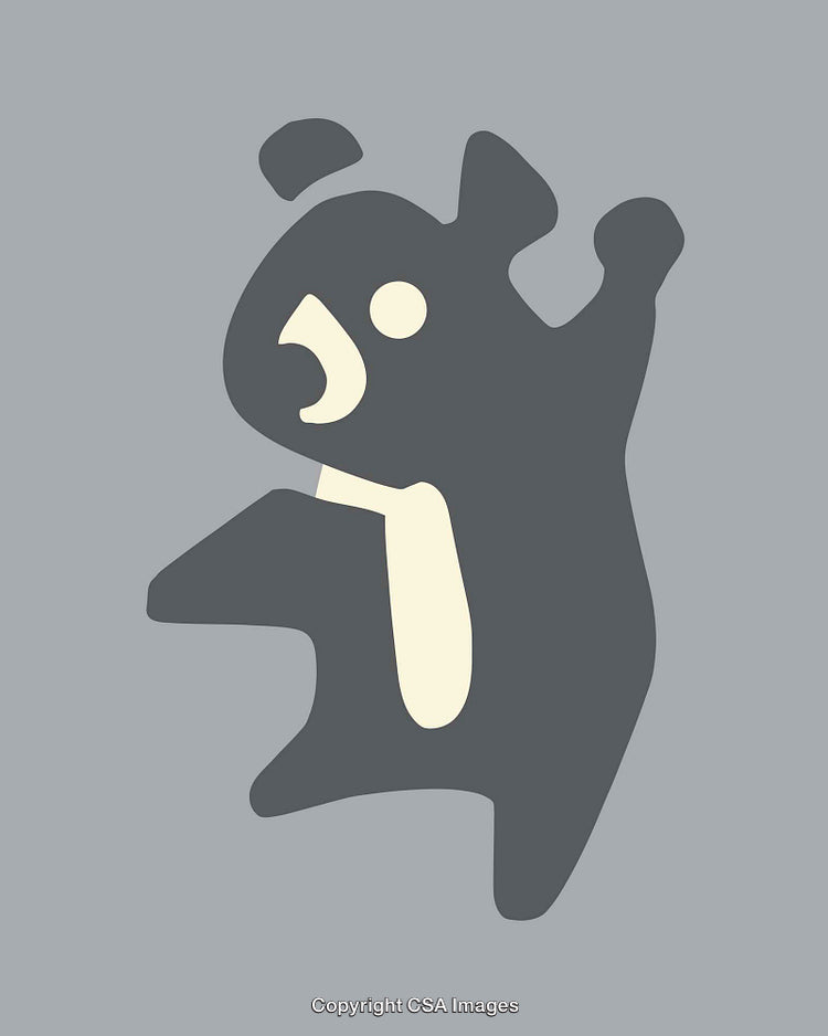 Minimalistic Cartoon Bear Illustration with Gray and Cream Features