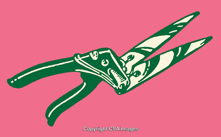 Colorful Illustration of Garden Shears on a Pink Background