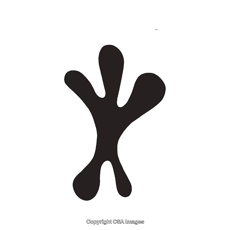 Abstract Black Curved Shape on a White Background