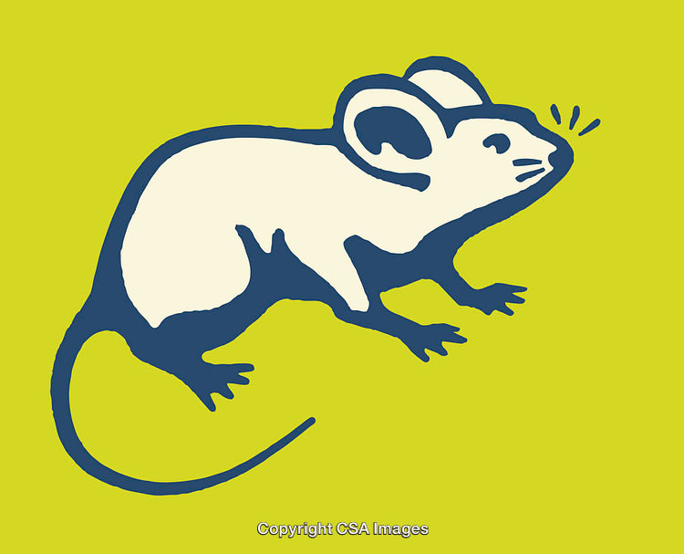 Stylized Blue Line Art Mouse Illustration on Lime Green Background