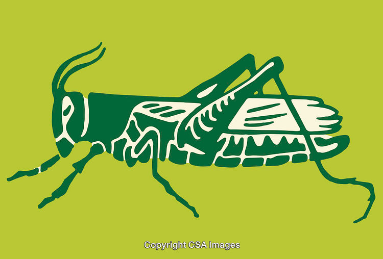 Green Line Art Illustration of a Grasshopper in a Minimalist Style