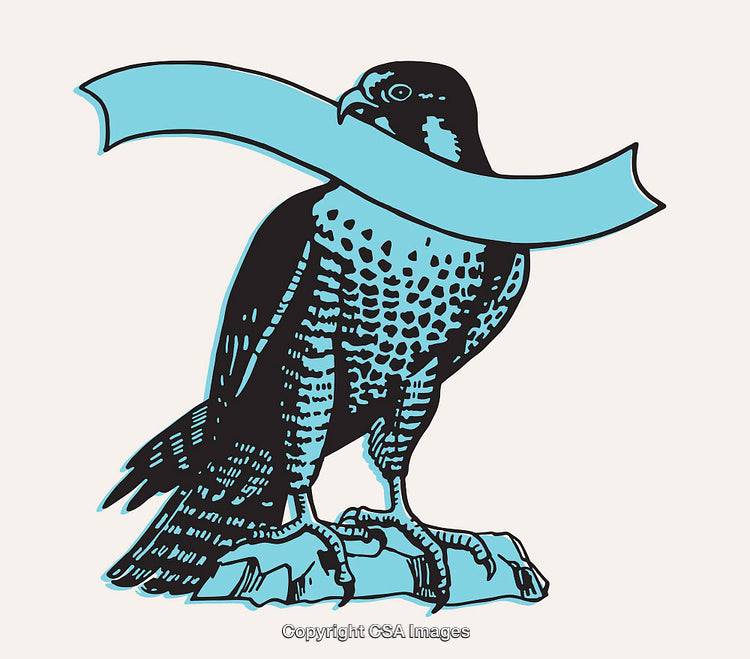 Illustration of a Falcon Holding a Blank Banner Ribbon in Blue and Black
