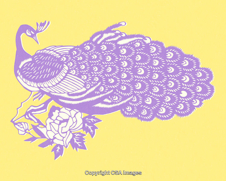 Purple Peacock Silhouette on Yellow Background with Floral Decoration Art