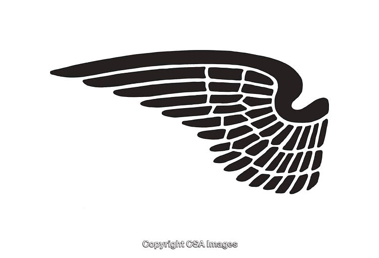 Stylized Black and White Wing Line Art Design Illustration