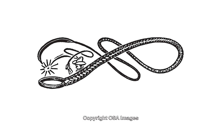 Black and White Line Art of a Coiled Intricate Whip