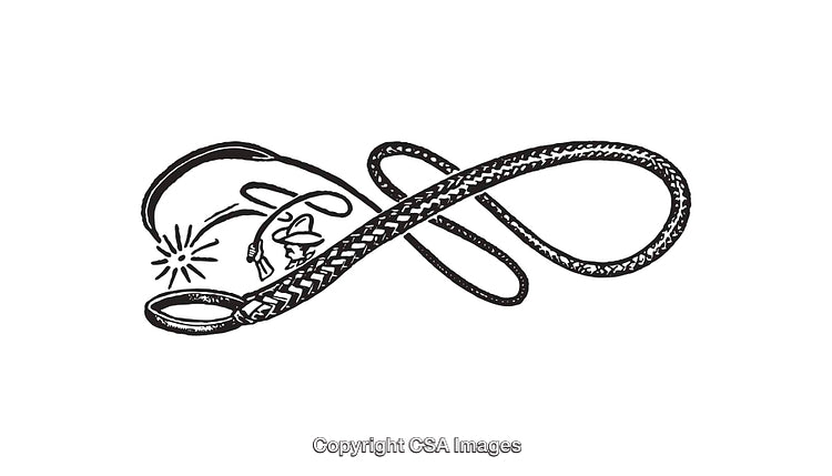 Black and White Line Art of a Coiled Intricate Whip