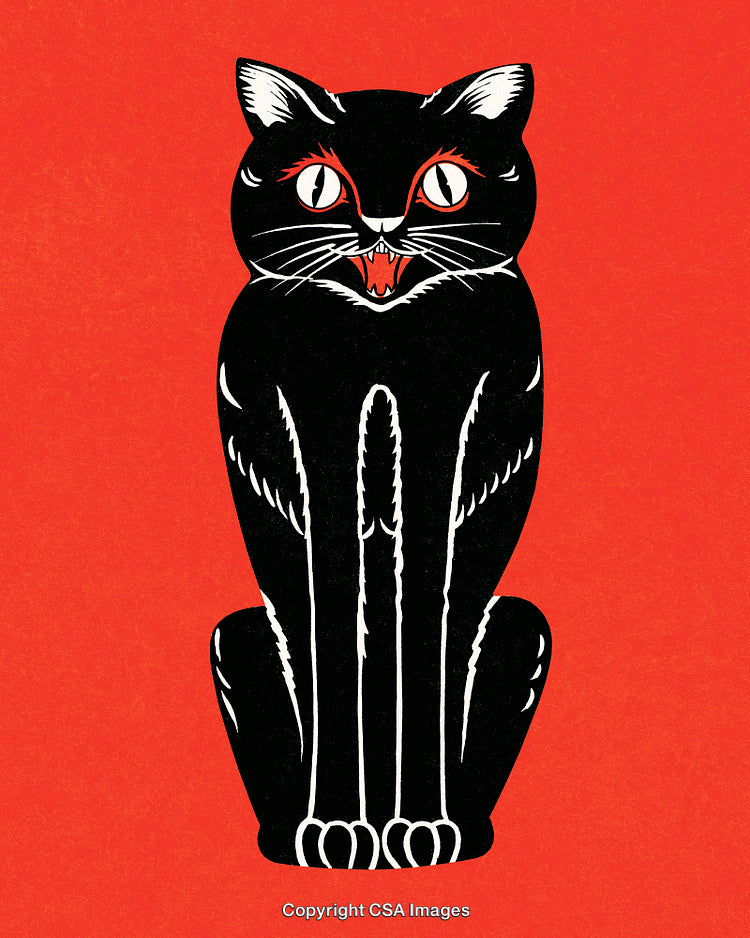 Vintage Black Cat Illustration on Vibrant Red Background with Expressive Details