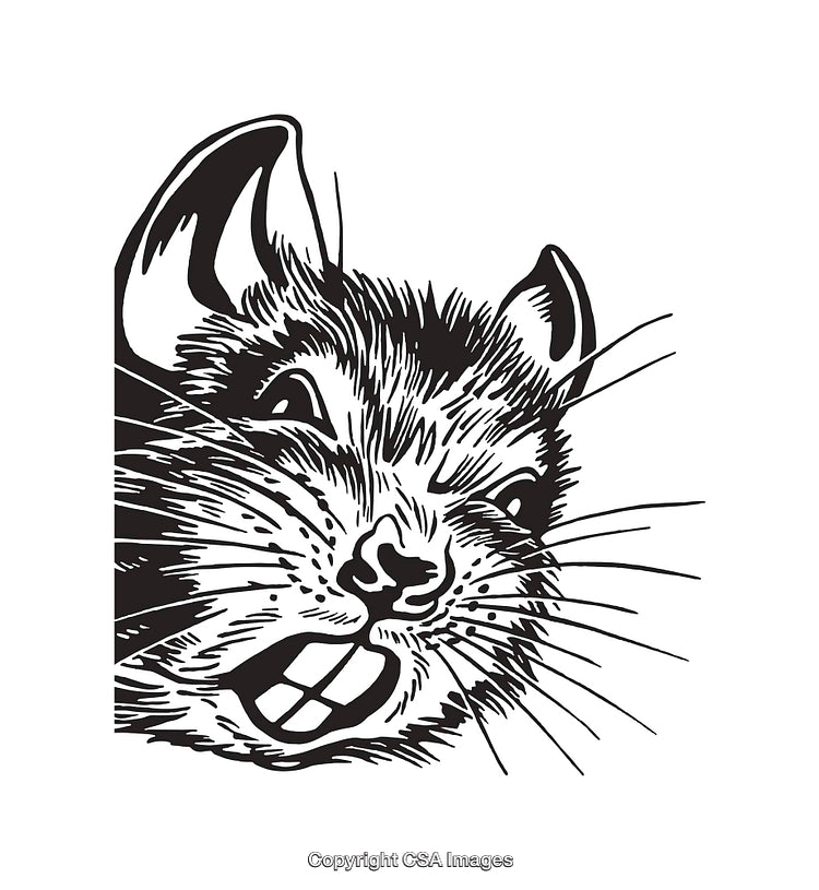 Black and White Line Art Illustration of a Smiling Rodent