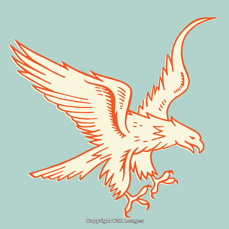 Illustration of a Majestic Bird in Flight with Outstretched Wings