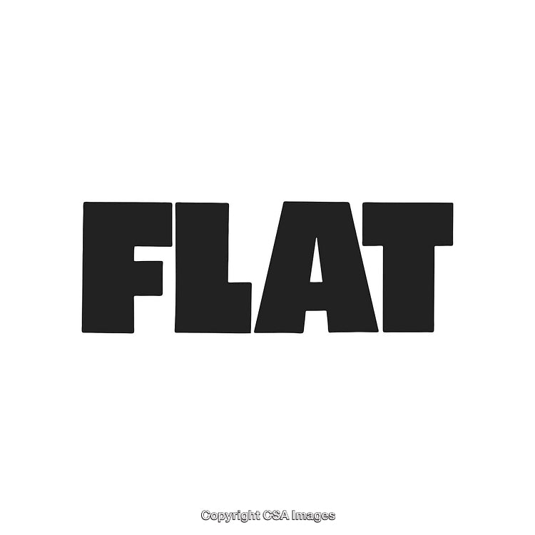 Bold Black Text Spelling 'Flat' on White Background in Modern Font Style