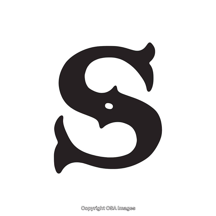 Elegant Black Letter S With Decorative Flourishes on White Background