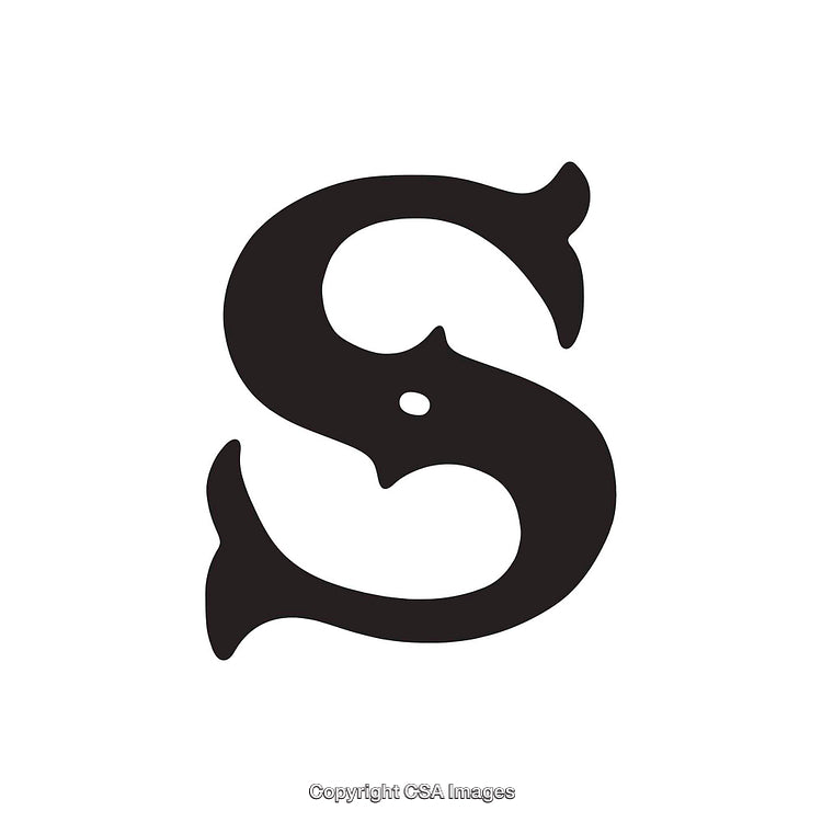 Elegant Black Letter S With Decorative Flourishes on White Background