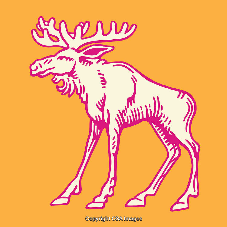 Colorful Line Art Illustration of a Moose on Vibrant Background