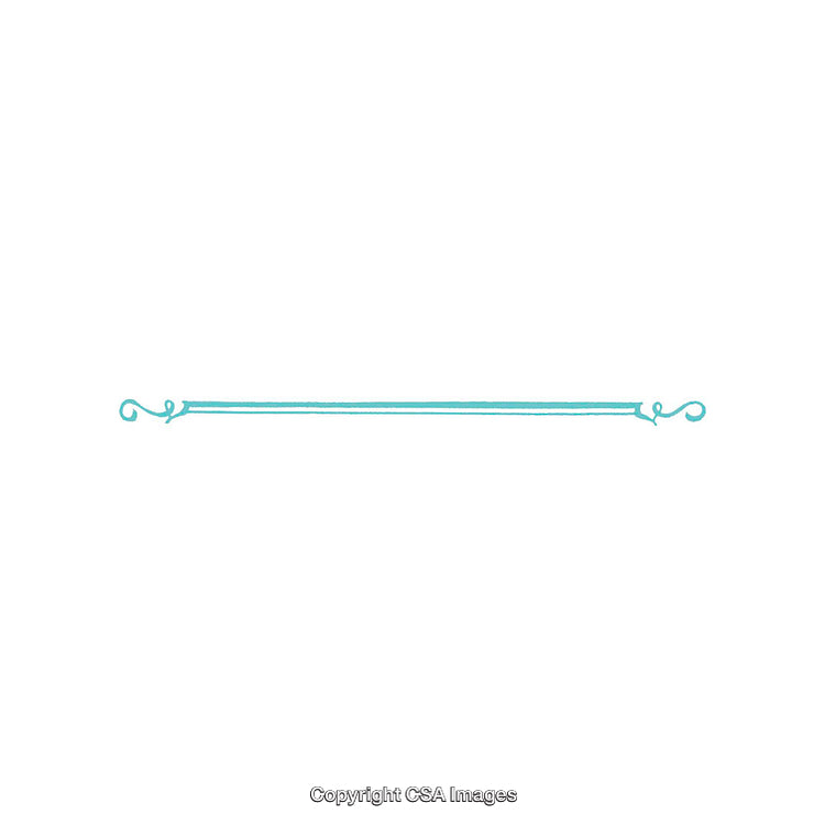 Minimalist Teal Decorative Divider with Swirls on White Background