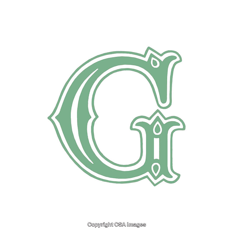 Elegantly Designed Green Letter G in Ornamental Typeface Graphic
