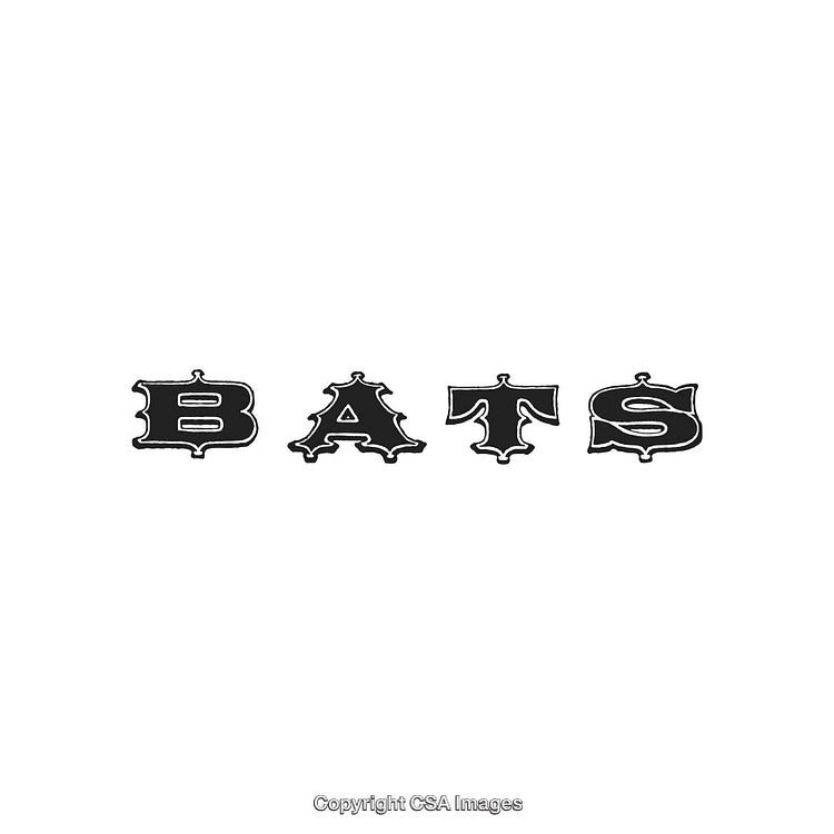 Elegant Gothic Lettering Spelling the Word 'BATS' on White Background