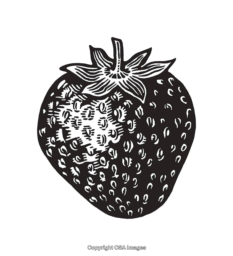 Black and White Line Art Illustration of a Detailed Strawberry