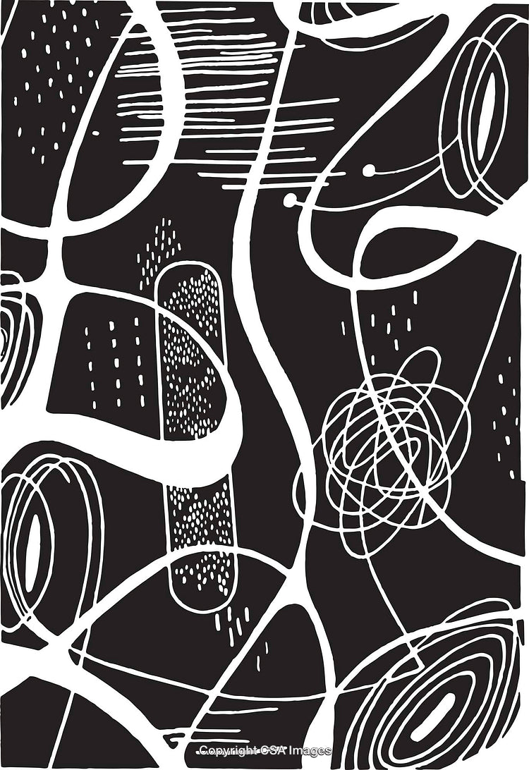 Abstract Black And White Pattern With Complex Organic Shapes