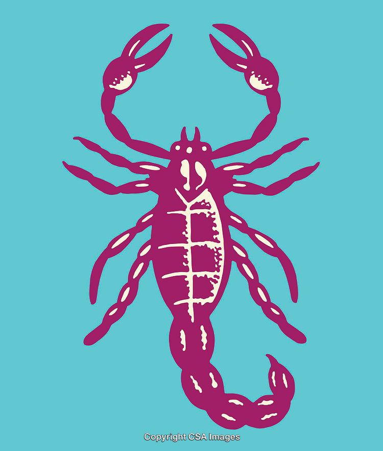 Vibrant Scorpion Line Art Illustration on a Bright Blue Background