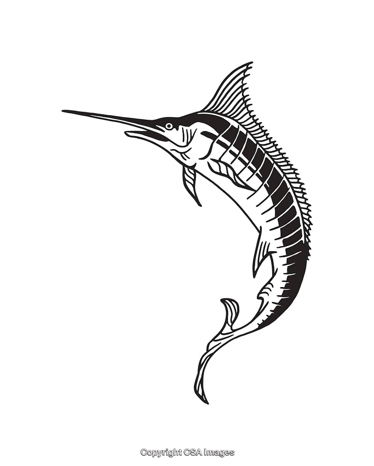 Black and White Swordfish Line Art Illustration in Minimalistic Style