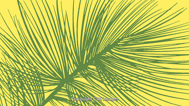 Green Palm Leaf Illustration on a Solid Yellow Background