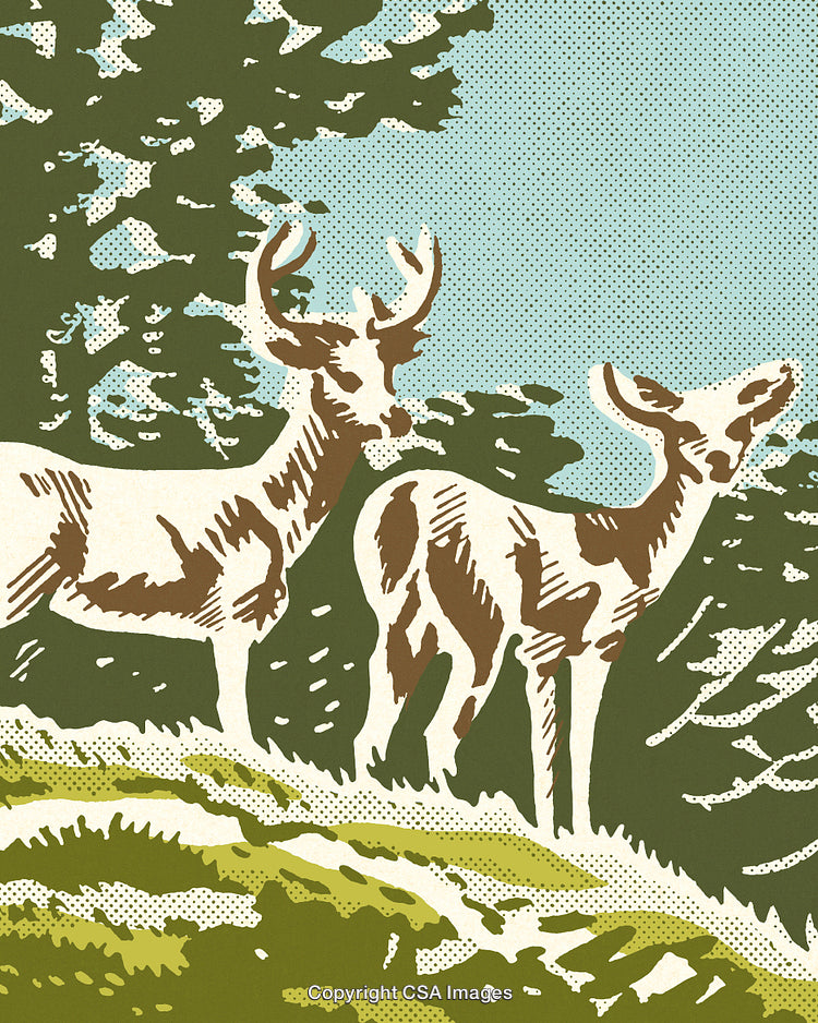 Retro Styled Illustration of Deer in a Serene Forest Landscape