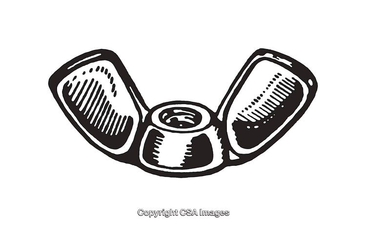 Black and White Line Art of a Wingnut Illustration