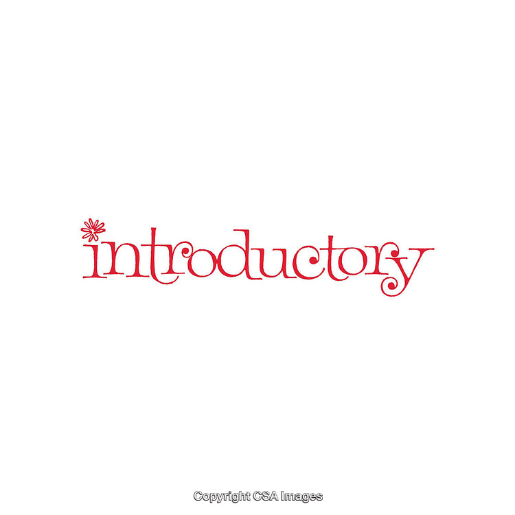 Typography Design Featuring the Word Introductory in Elegant Red Script