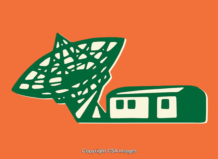 Stylized Green Satellite Dish and Building on Bold Orange Background