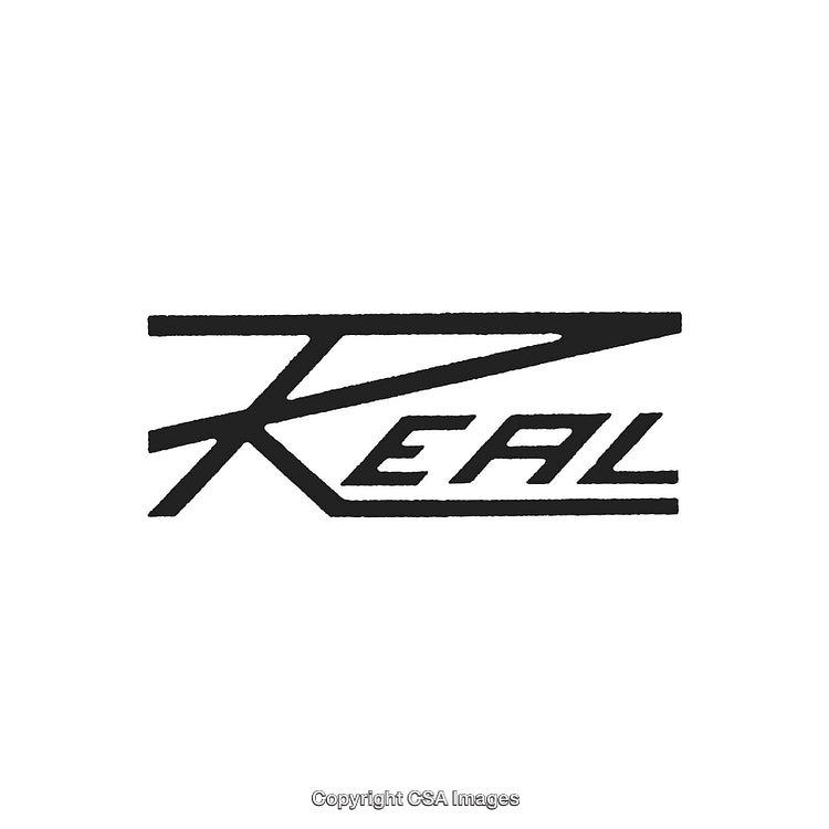 Bold Minimalist Typography Logo Featuring Distinctive Brush Stroke Design
