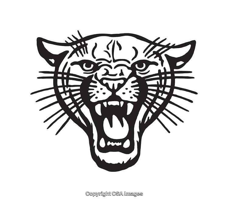 Black and White Line Art of a Fierce Panther Face