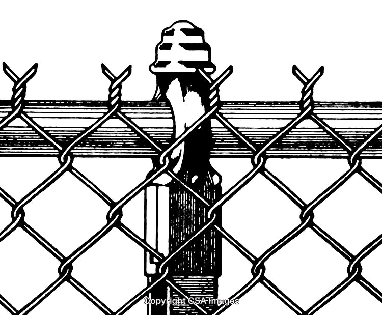 Detailed Black and White Chain Link Fence Illustration with Rustic Elements