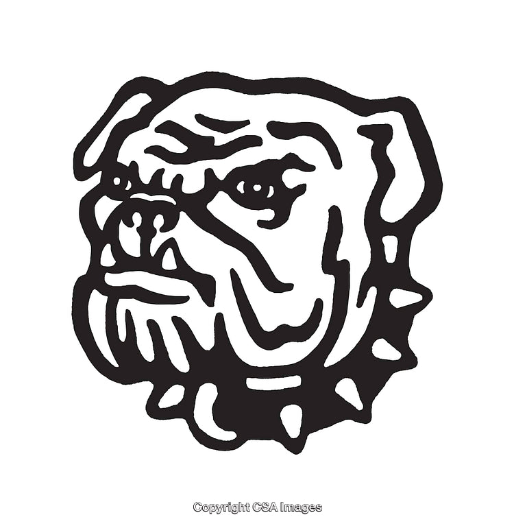 Black and White Line Art Illustration of a Bulldog with Spiked Collar