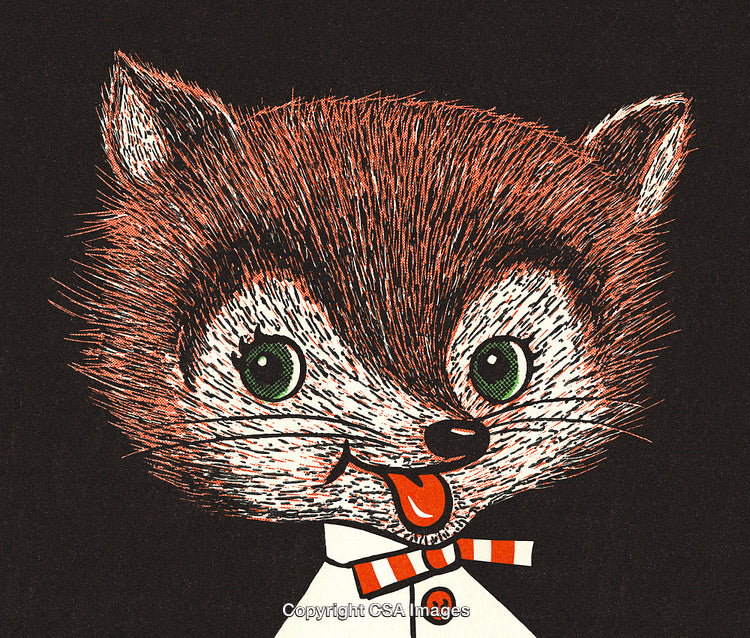 Illustrated Fox Character with Whimsical Look in Retro Cartoon Style