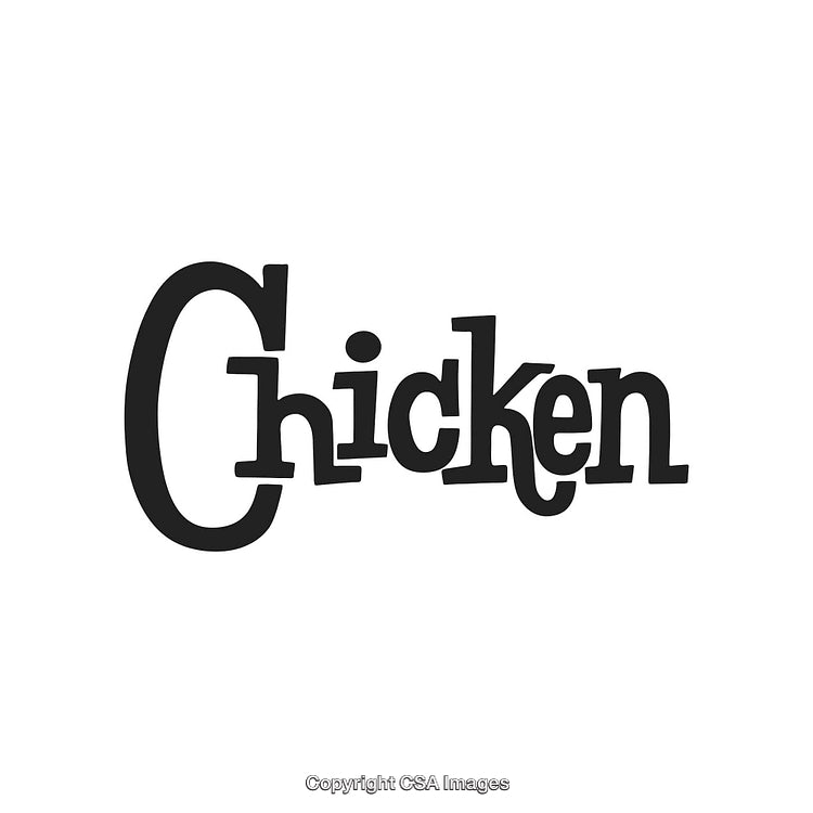 Stylized Black Text Rendering of the Word Chicken on White Background