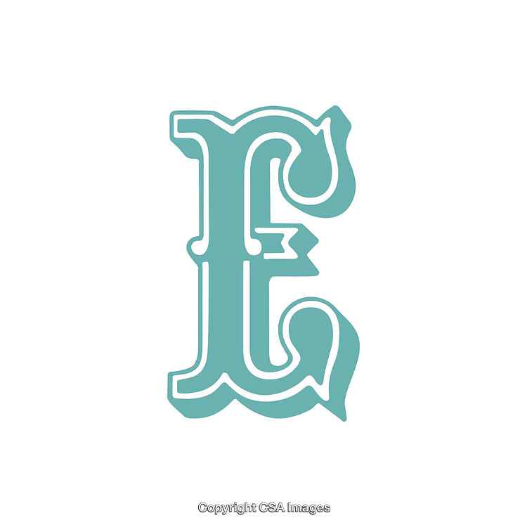 Ornamental Letter E in Decorative Typeface Design