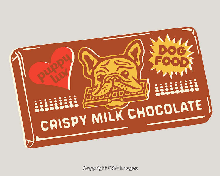 Illustrated Dog-Themed Crispy Milk Chocolate Package Design Artwork