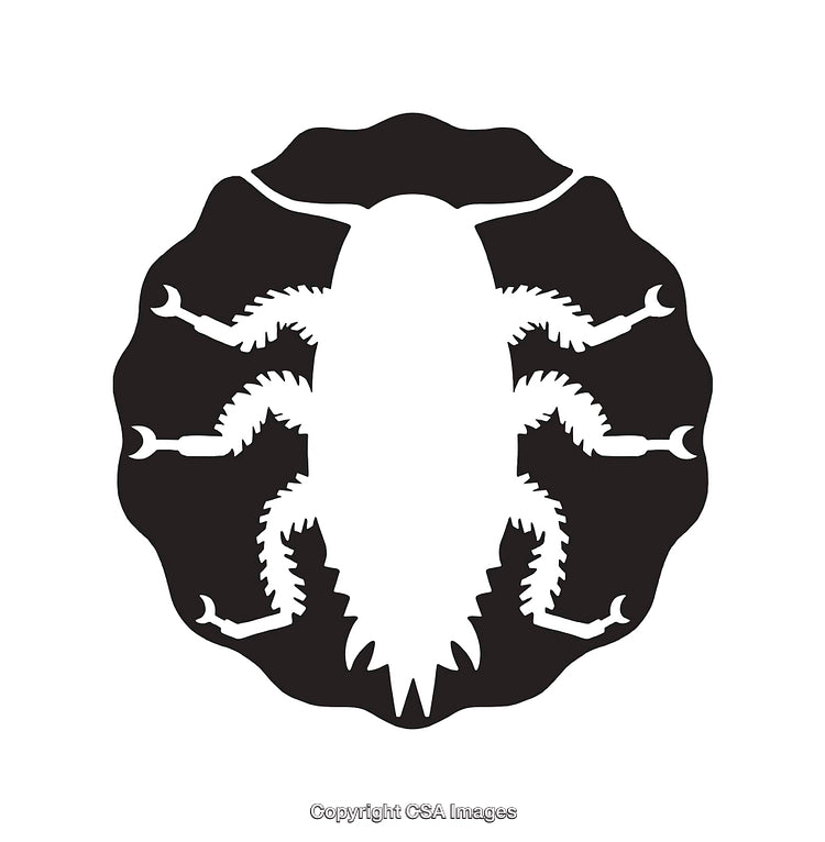 Black and White Bug Silhouette Within Circle Design